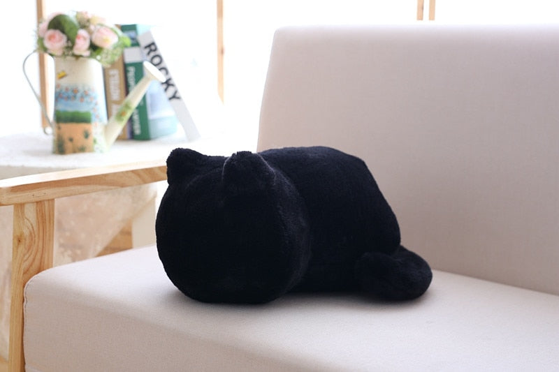 Cute Cat Plush Cushion Pillows Cute Cat Nation