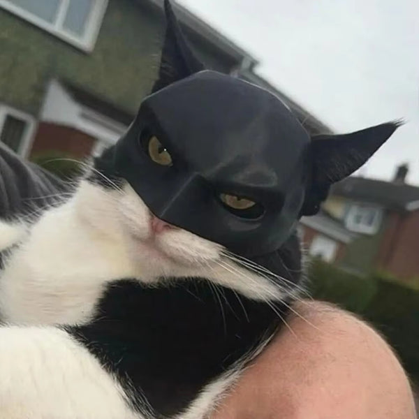 Cute Cat Bat Mask