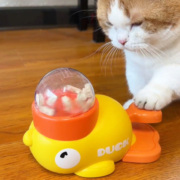 Little Yellow Duck Puzzle Feeder