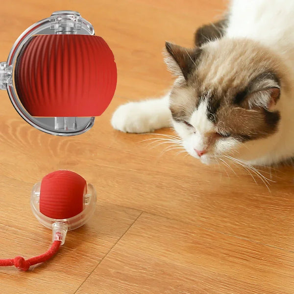 Smart Rolling Ball Cat Toys