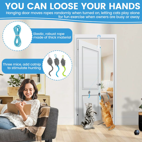Electric Door Hanging Cat Toy