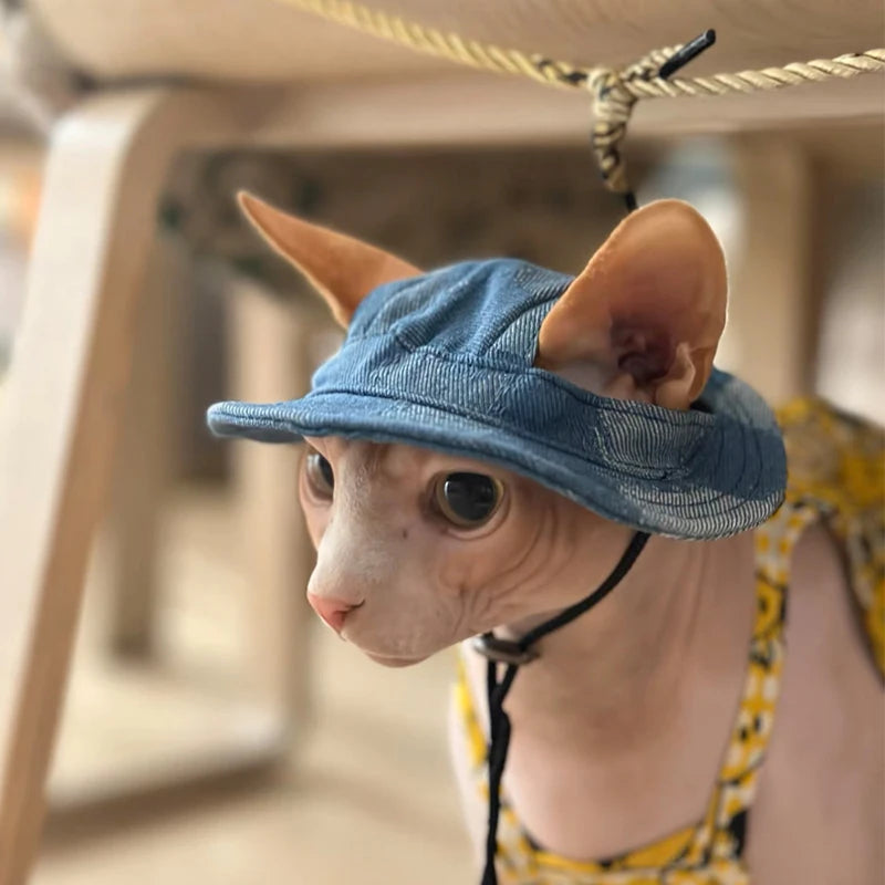 Cute Cat Hat With Ear Holes