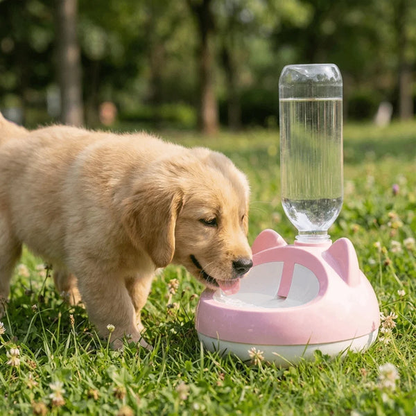 Cat Gravity Water Dispenser