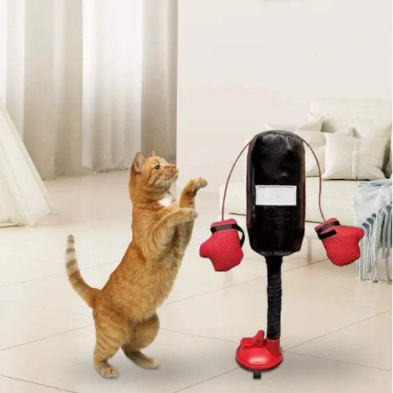 Punching Bag Cat Toy