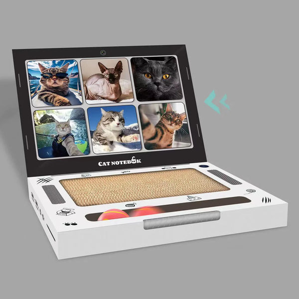 Cat Scratcher Pad Laptop Design
