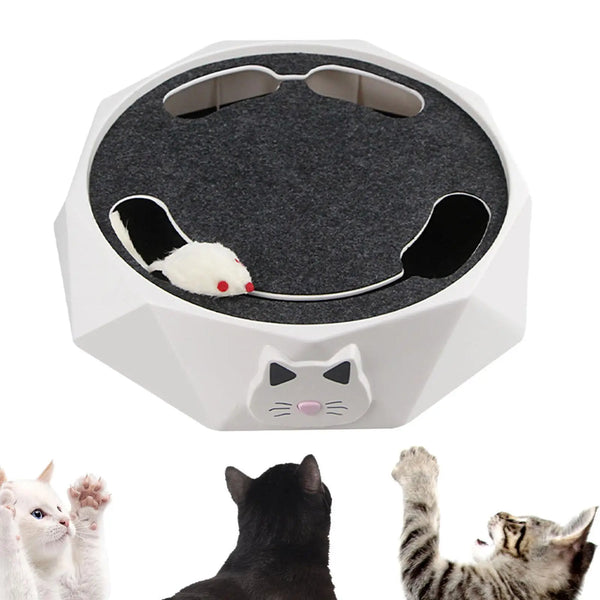 Interactive Hunting Cat Toy