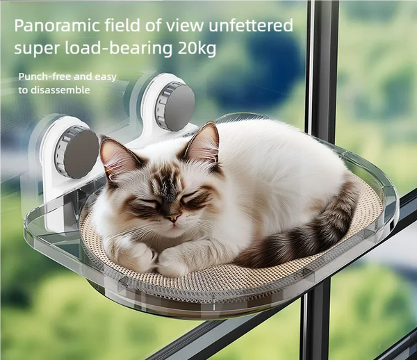 Cat Window Hammock