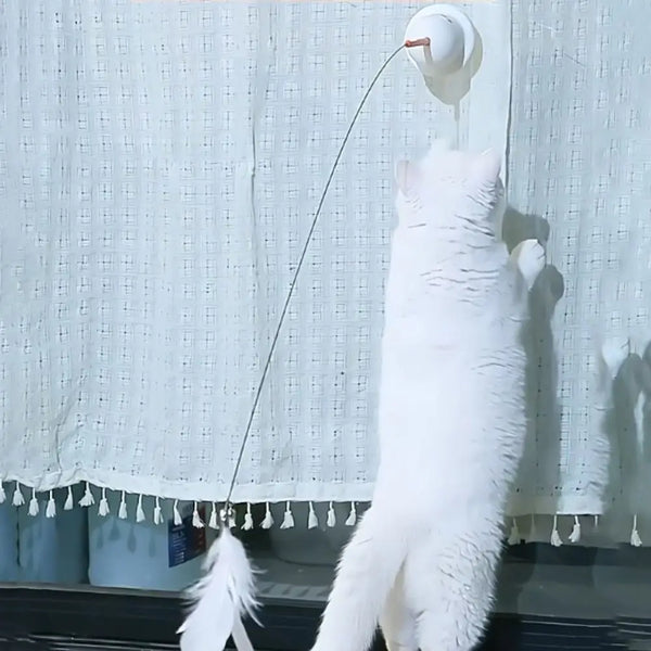 Interactive Badminton Stick Cat Toy