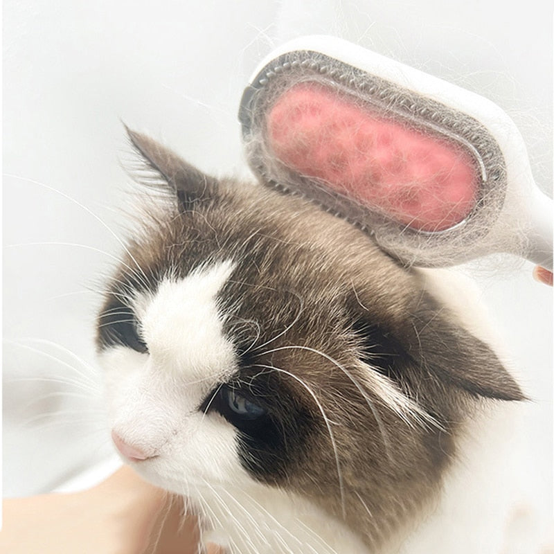 Double Sided Hair Removal Brushes Cute Cat Nation