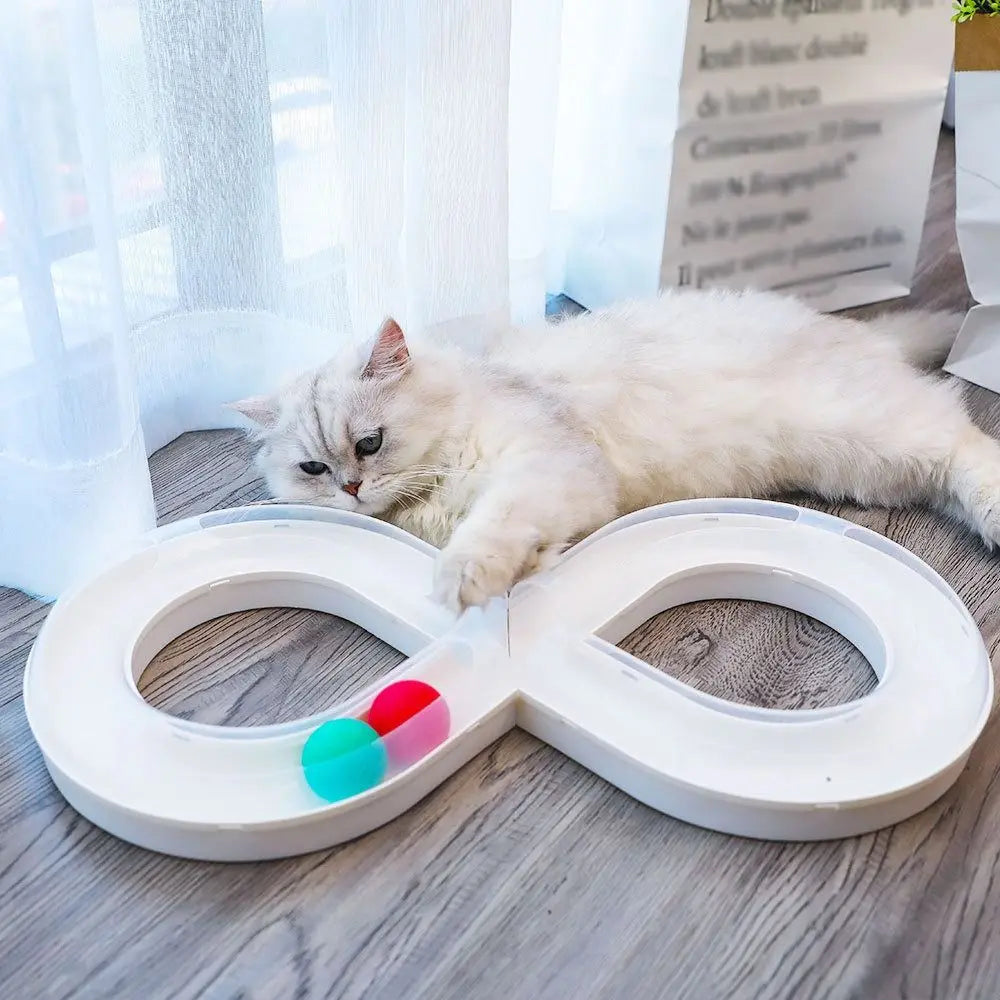 Funny Cat Tunnel Design