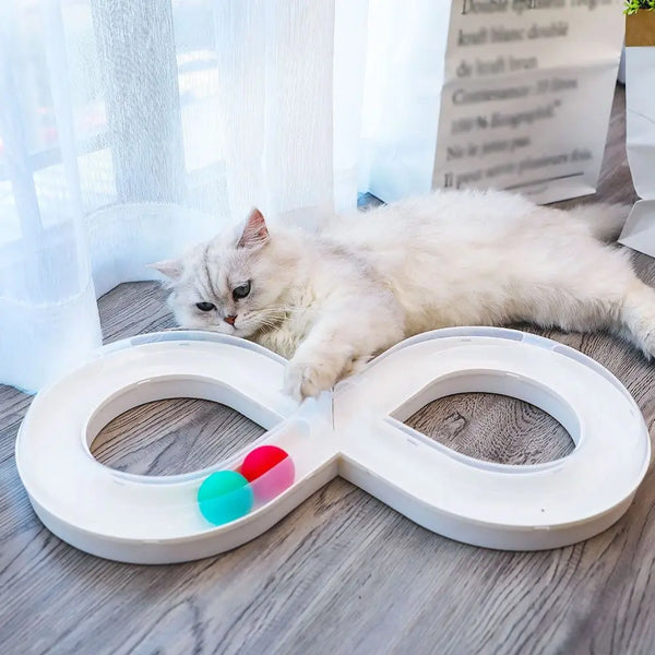 Funny Cat Tunnel Design