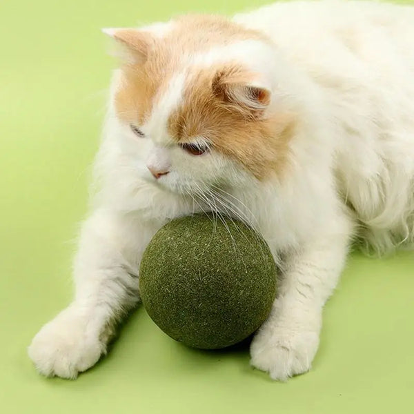 Giant Catnip Ball