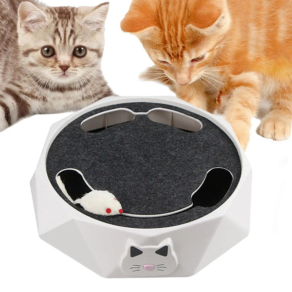 Interactive Hunting Cat Toy