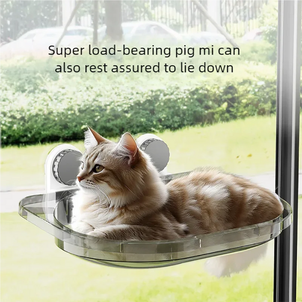 Cat Window Hammock