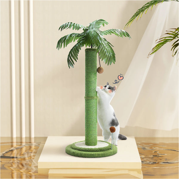Cat Scratching Coconut Tree