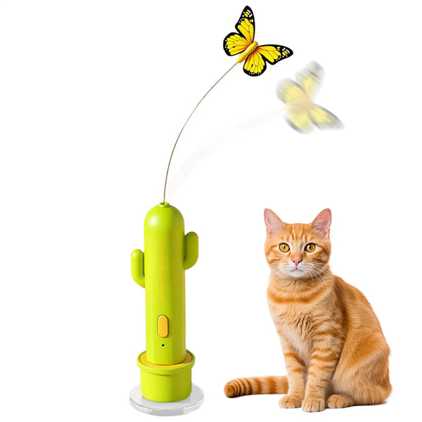 Auto-Chase Cactus Cat Teaser