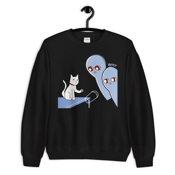 Why Unisex Sweatshirt