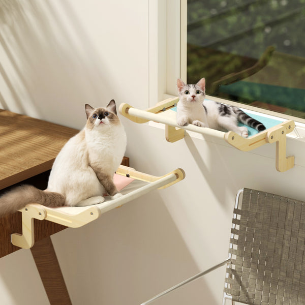 Cute Cat Window Hammocks
