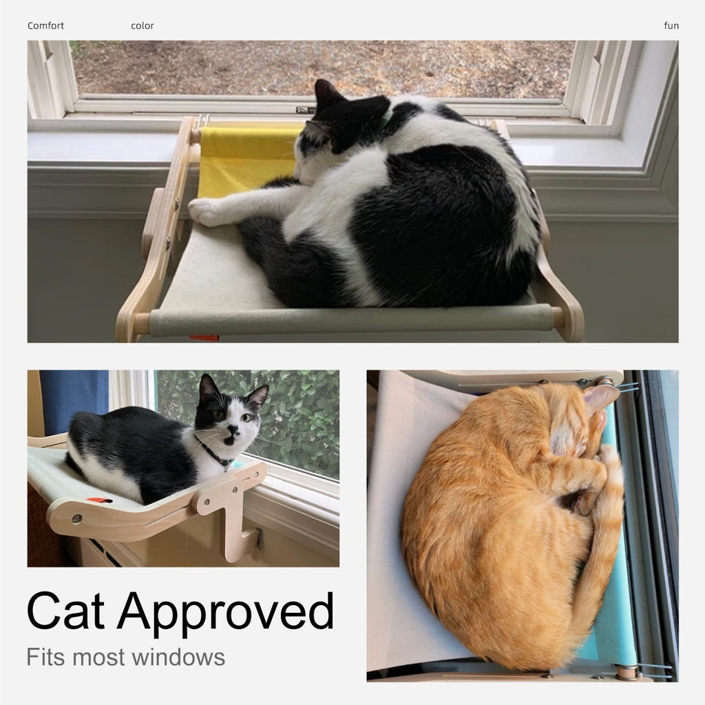 Cute Cat Window Hammocks – Cute Cat Nation