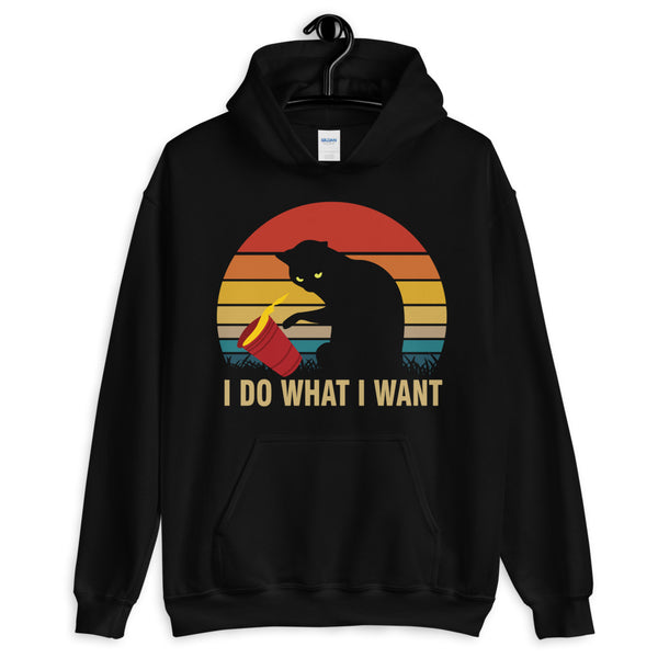 I Do What I Want Unisex Hoodie