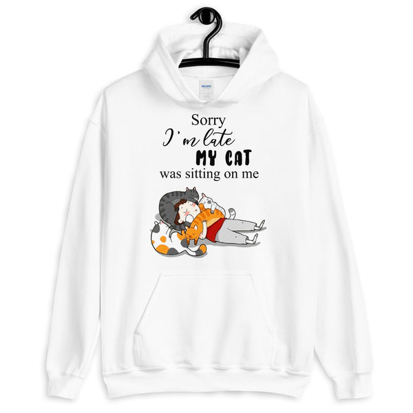 My Cat Was Sitting On Me Unisex Hoodie